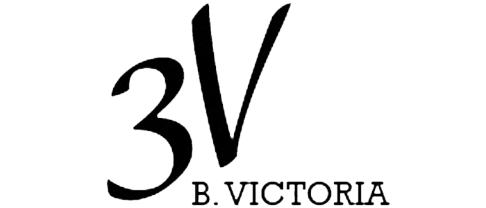 logo3V-B&N